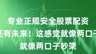 专业正规安全股票配资公司还有未来！这感觉就像两口子吵架