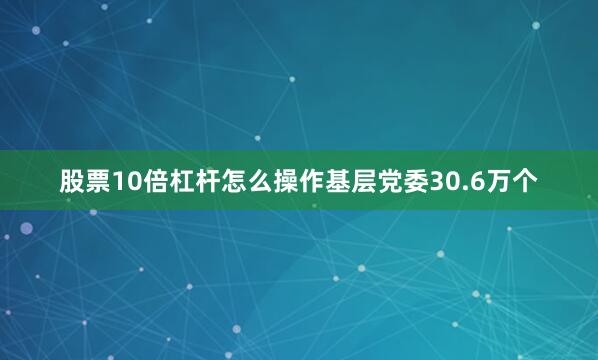 股票10倍杠杆怎么操作基层党委30.6万个