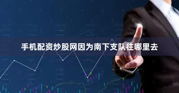 手机配资炒股网因为南下支队往哪里去